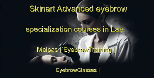 Skinart Advanced eyebrow specialization courses in Las Malpas | EyebrowTraining | EyebrowClasses | SkinartTraining-Mexico